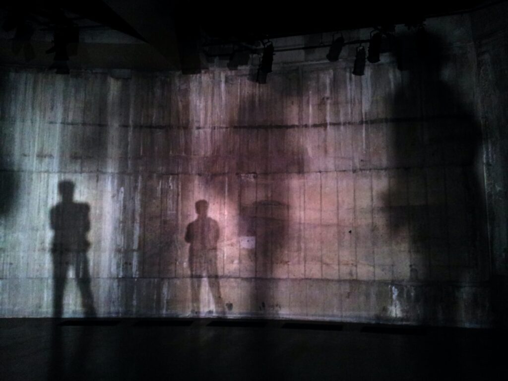 Through The Shadows