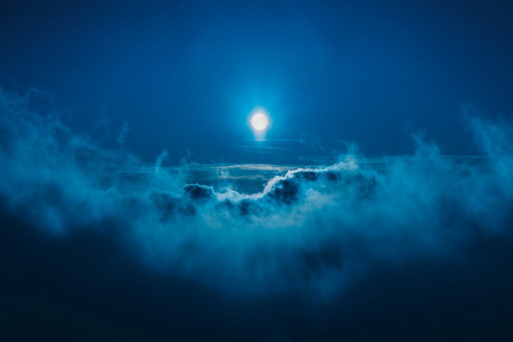 Moonlit Serenity
