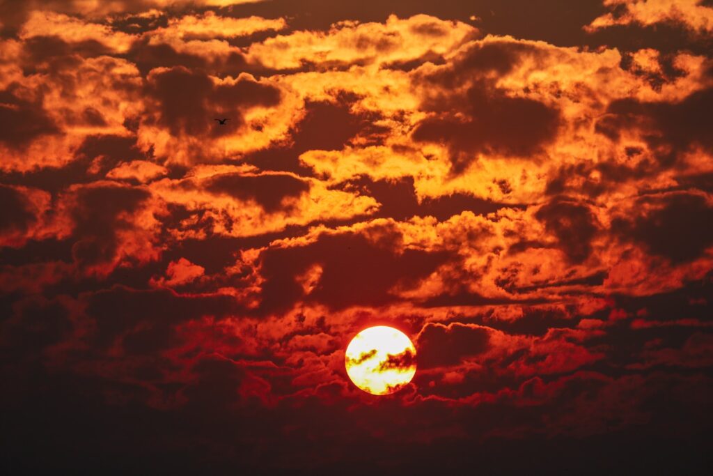 Ashes of a Fallen Sun