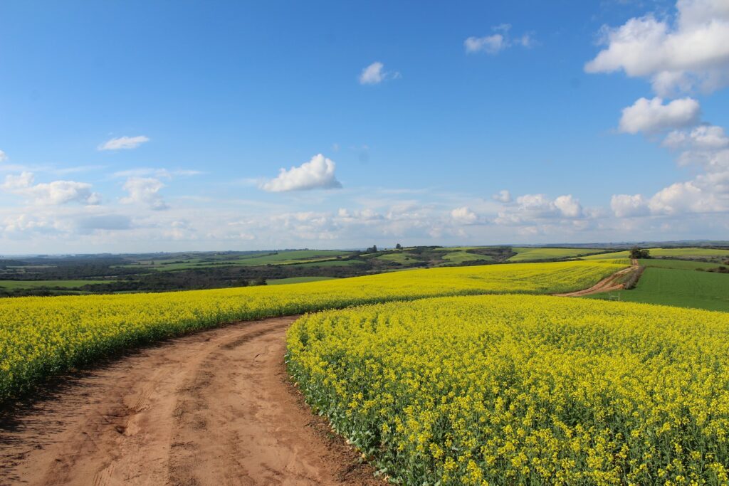 Saskatchewan