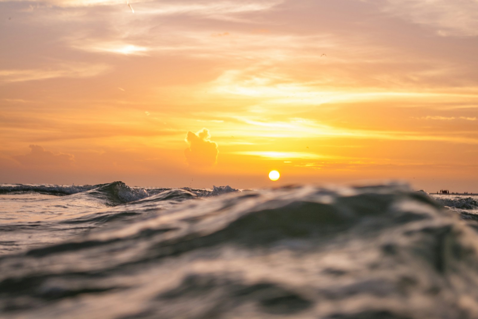 Rising Tide