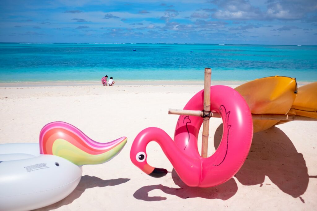 Endless Summer Love