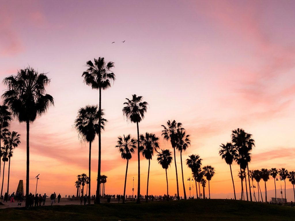 Endless Summer Nights