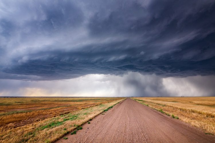 brown dirt road under gray clouds