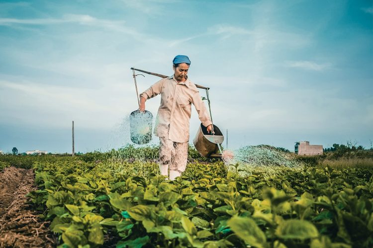 woman watering plants