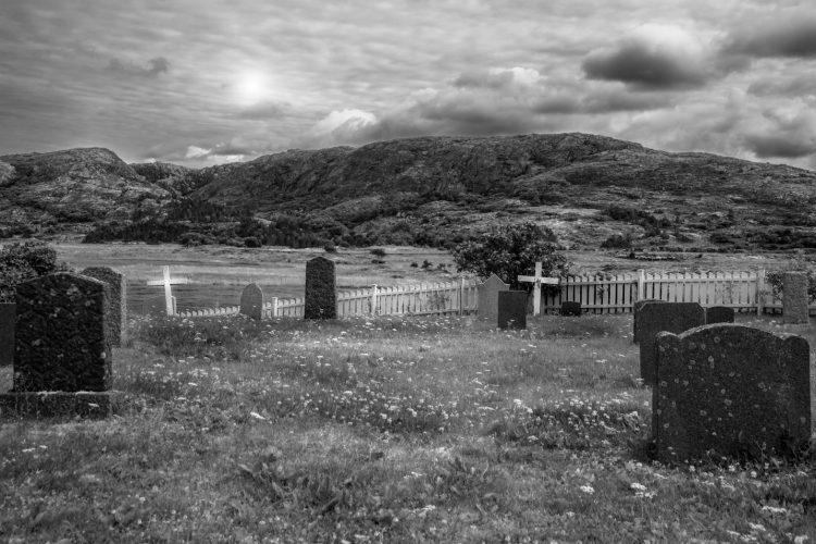 grayscale photo of wooden fence on grass field