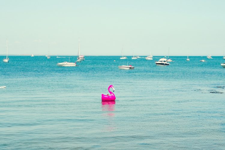 pink flamingo floats