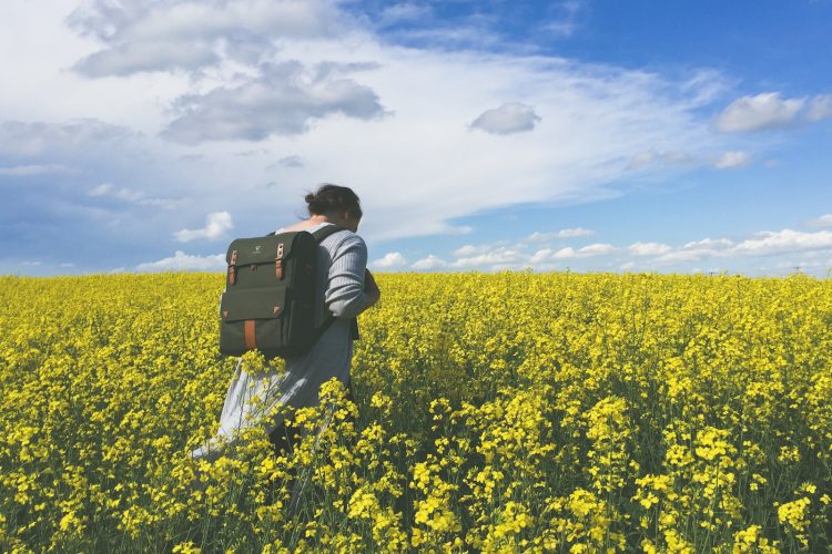 person in a yellow flower field during daytime