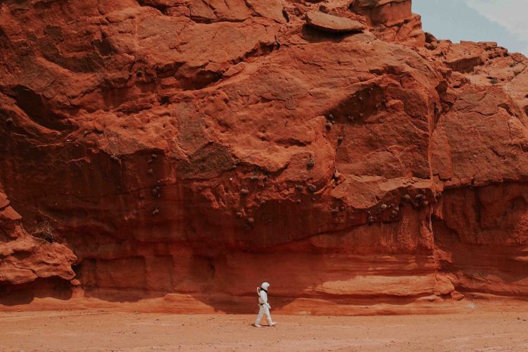 person walking near brown rock