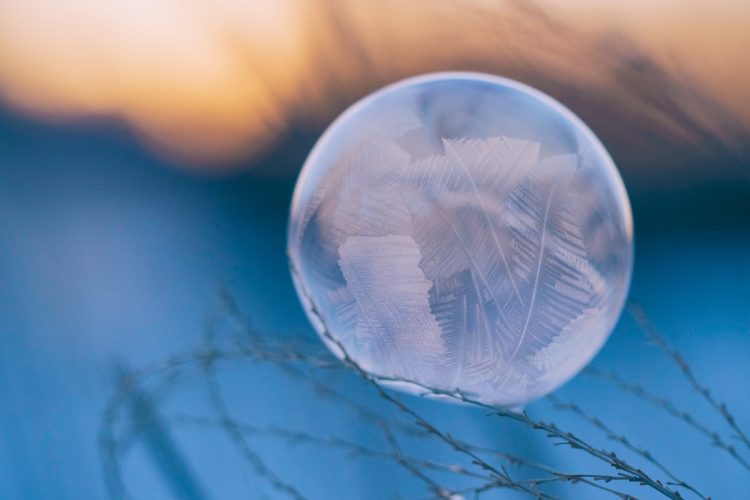 perspective photography of leaf