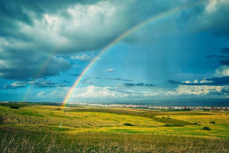 green grass field under rainbow and blue sky during daytime