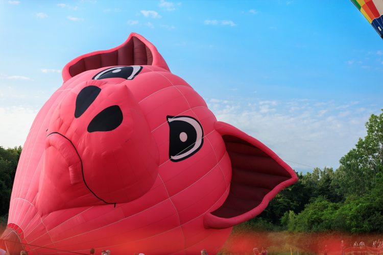 red inflatable balloon under blue sky during daytime