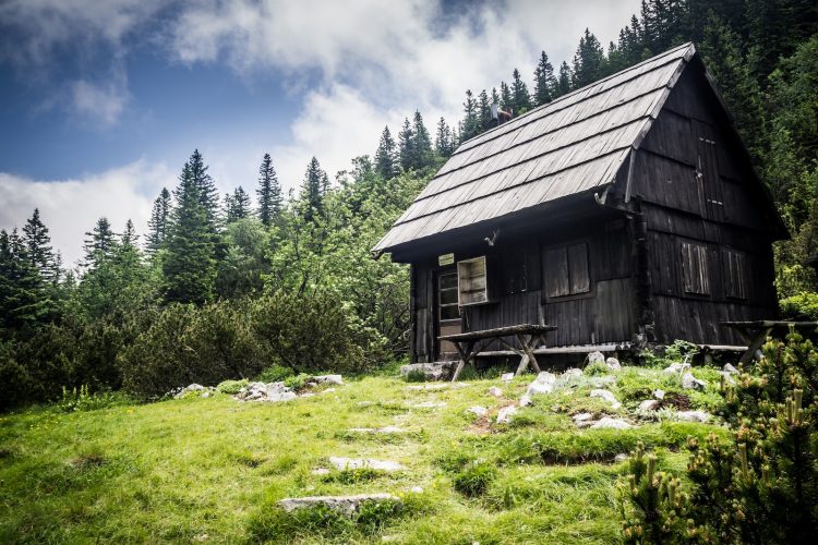 black and gray house beside green trees at daytime