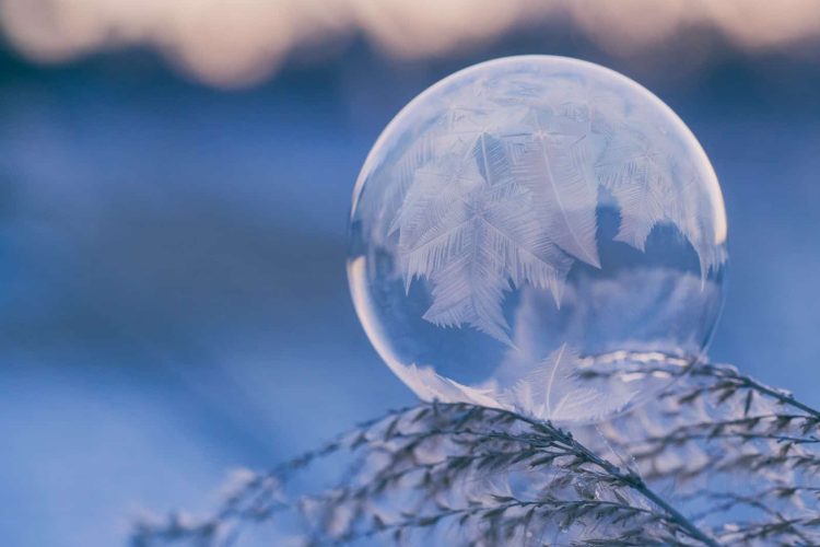 shallow focus photography of bubble on leaves